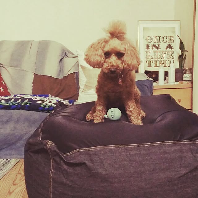 niiicoさんの実例写真