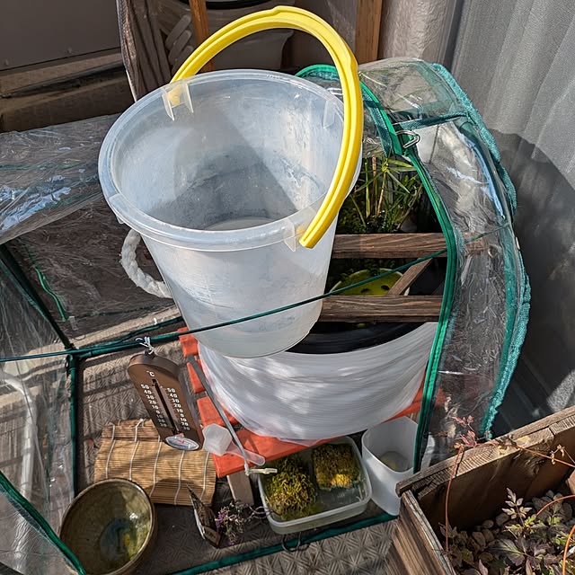 mi-saさんの部屋