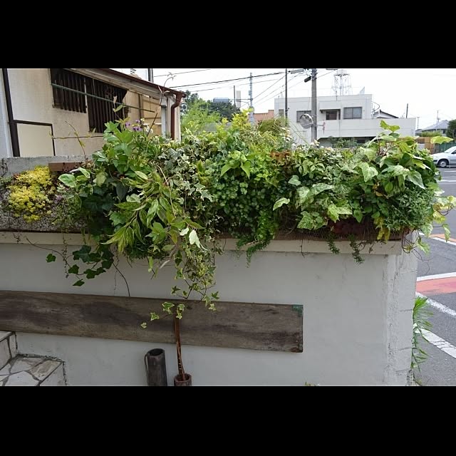 GreenWorksさんの実例写真