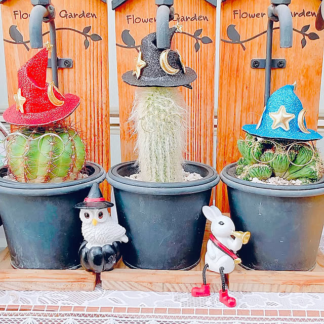 Hanakaさんの実例写真