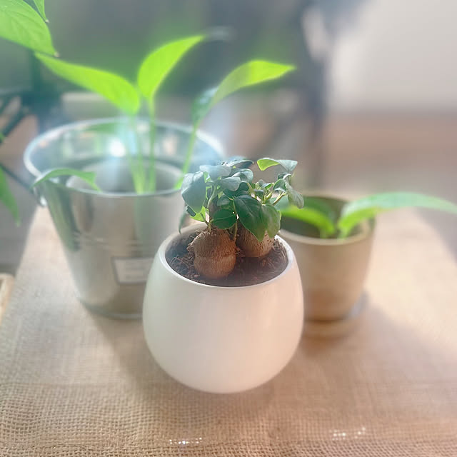 Ritsuさんの実例写真