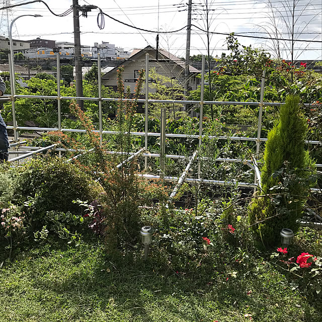 Naokoさんの実例写真