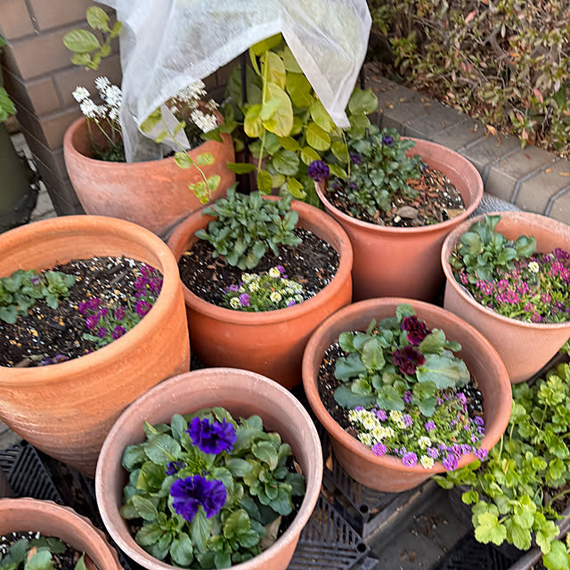 mamizaさんの部屋