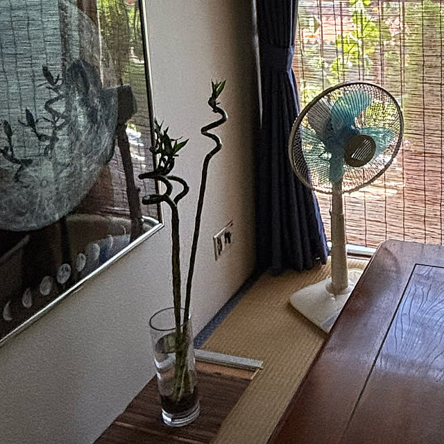 syutmmさんの部屋