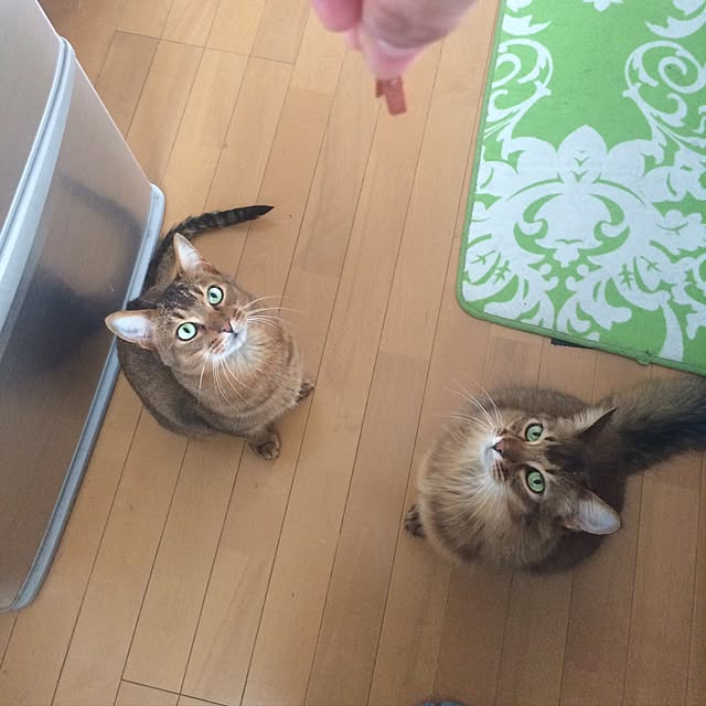 Yumiさんの実例写真