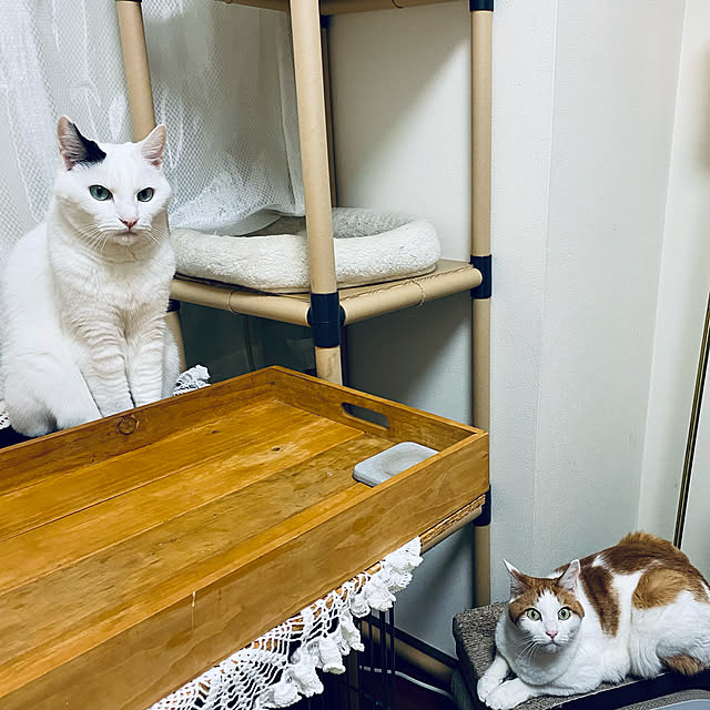 YUKAさんの実例写真
