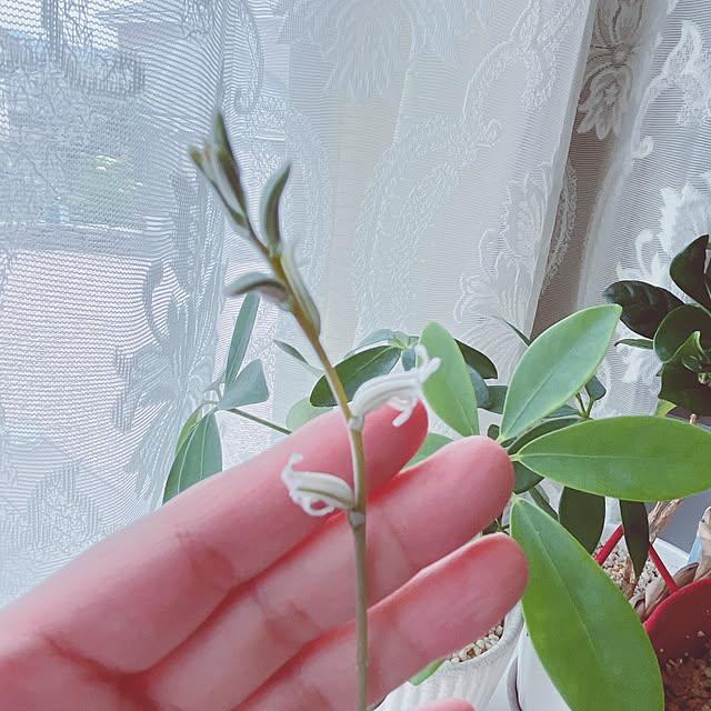 moolさんの実例写真