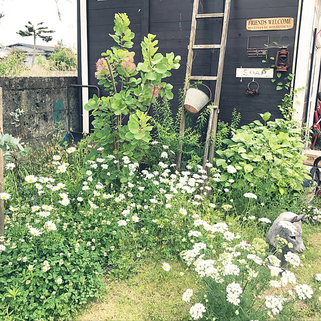 TOROさんの実例写真