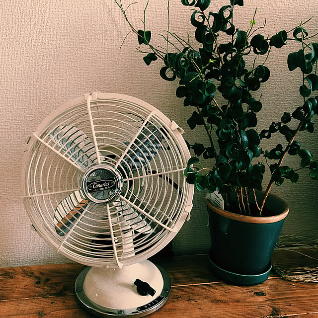 Mariさんの実例写真