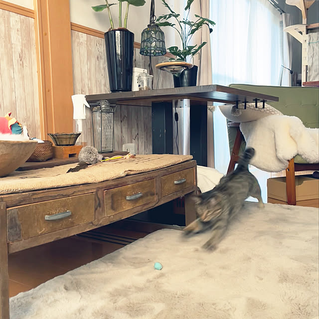 Mさんの実例写真