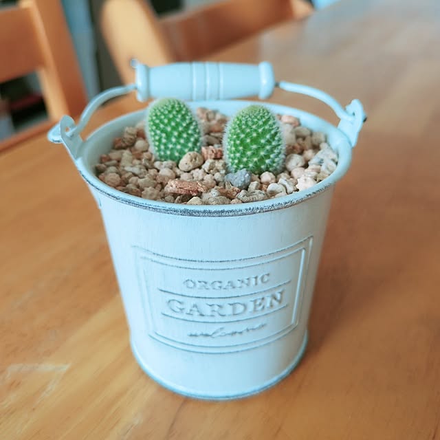 cocomintさんの実例写真