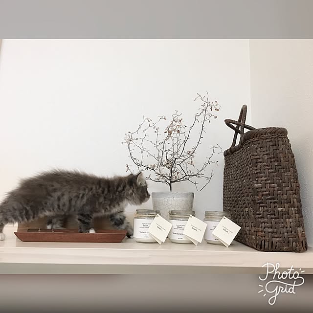 Hisashiさんの実例写真