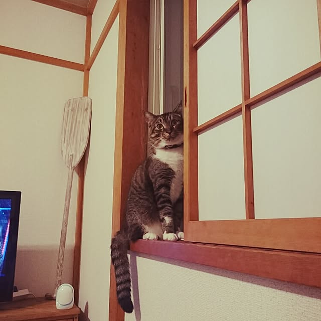 Lukiさんの実例写真