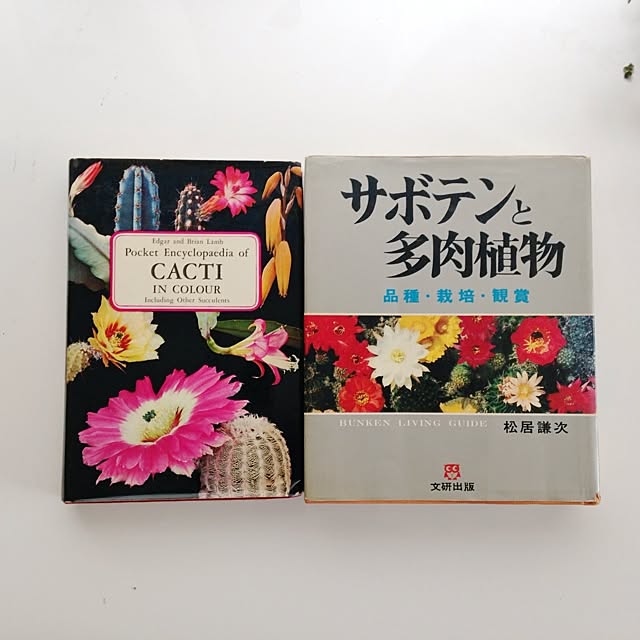 Atsushiさんの実例写真