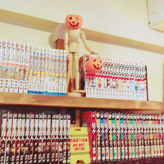 a_n_c_oさんの実例写真