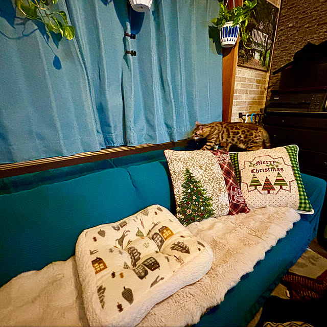 tututu0204さんの実例写真