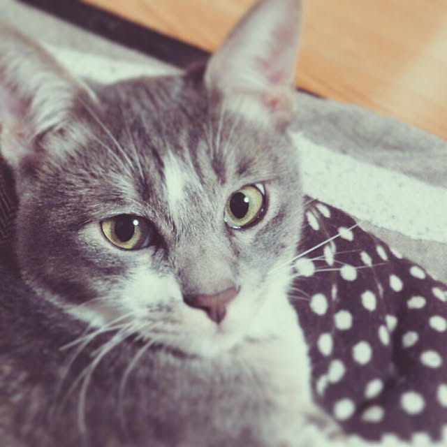 yumeさんの実例写真