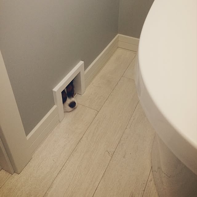 apiさんの実例写真