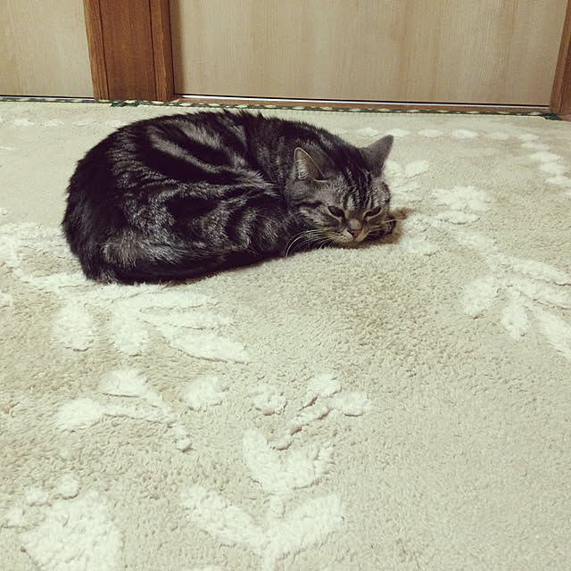 richanさんの実例写真