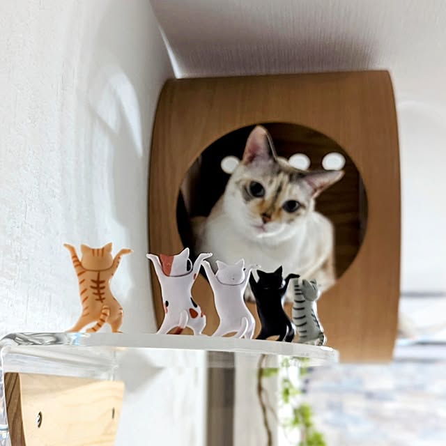 kohakuさんの部屋