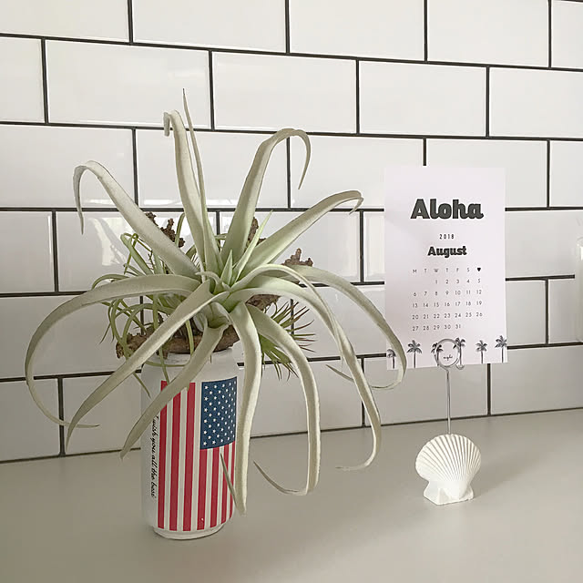 aloha119さんの実例写真