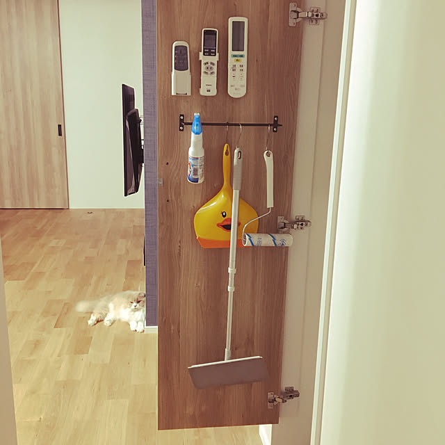 saraさんの実例写真