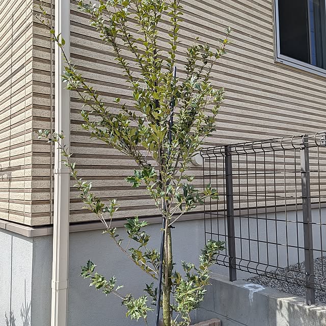 kumijiさんの部屋