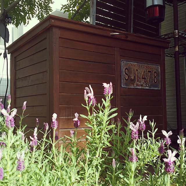 tomoppさんの実例写真