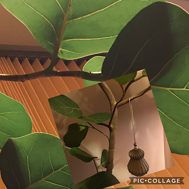 happy-sachiさんの実例写真