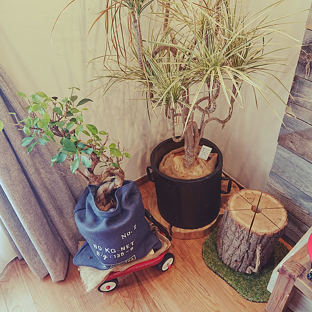 StudiOXIさんの実例写真