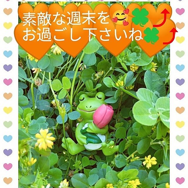 mocomocoさんの実例写真