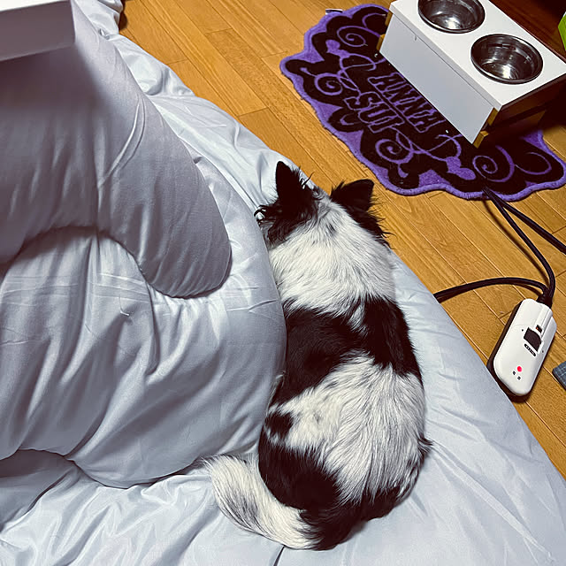 ramu29さんの実例写真