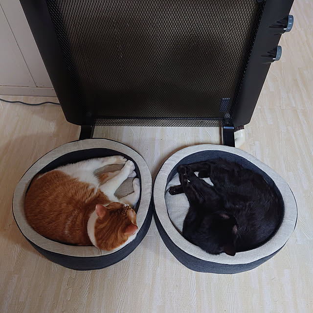 tetumuraさんの実例写真