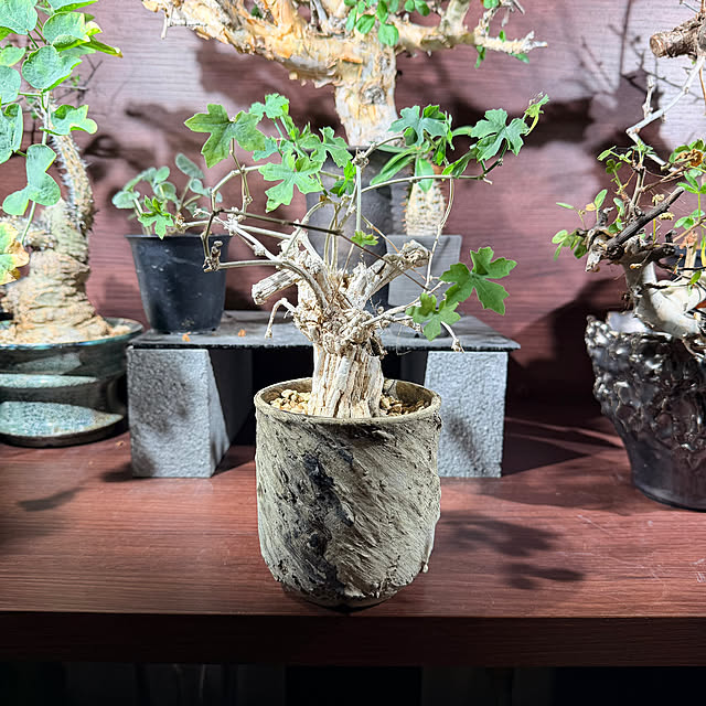 nuruiさんの実例写真