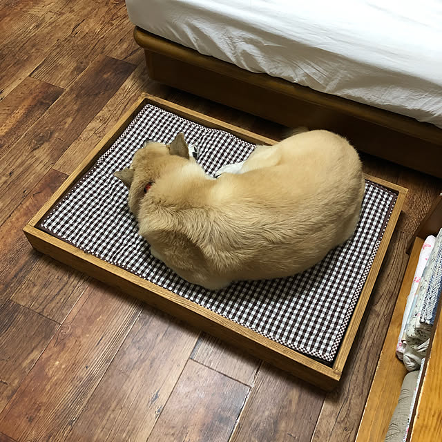leonaさんの実例写真