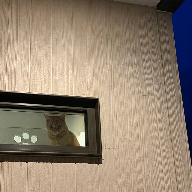 mikeume7さんの実例写真