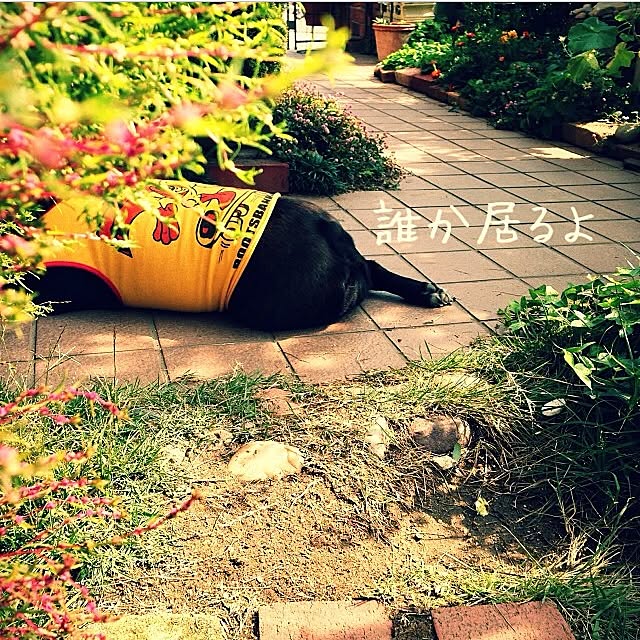 38coreさんの実例写真