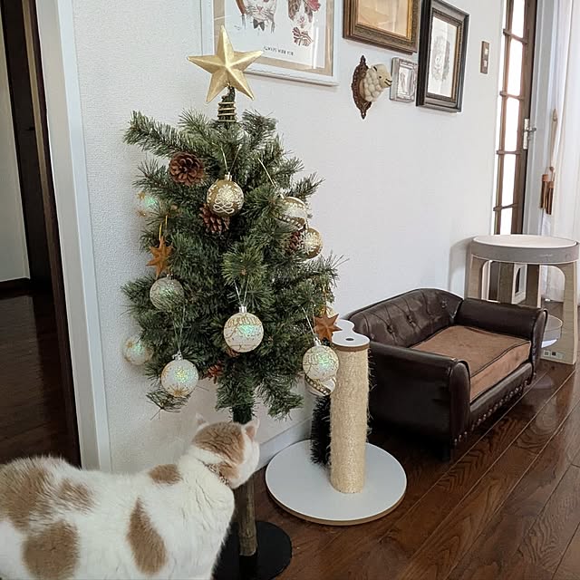 amutantanさんの実例写真