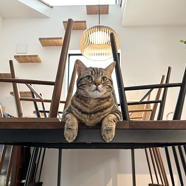 kaedeさんの実例写真