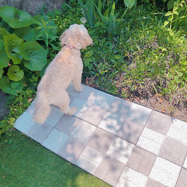 hama1219さんの実例写真
