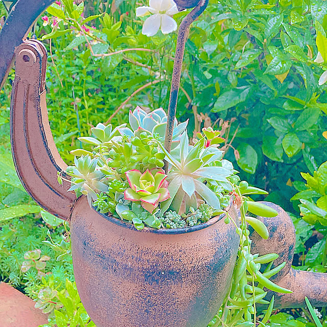 Hanakaさんの実例写真