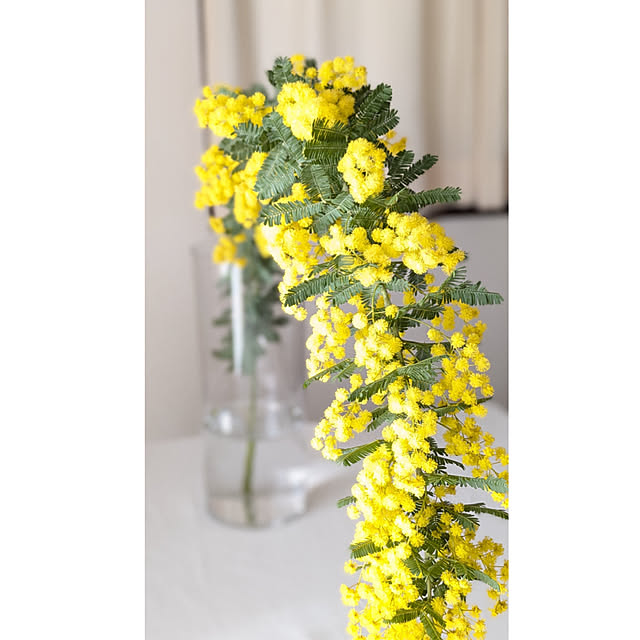 yukkin29さんの部屋