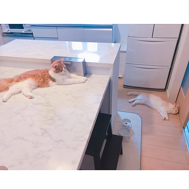 H.Tさんの実例写真
