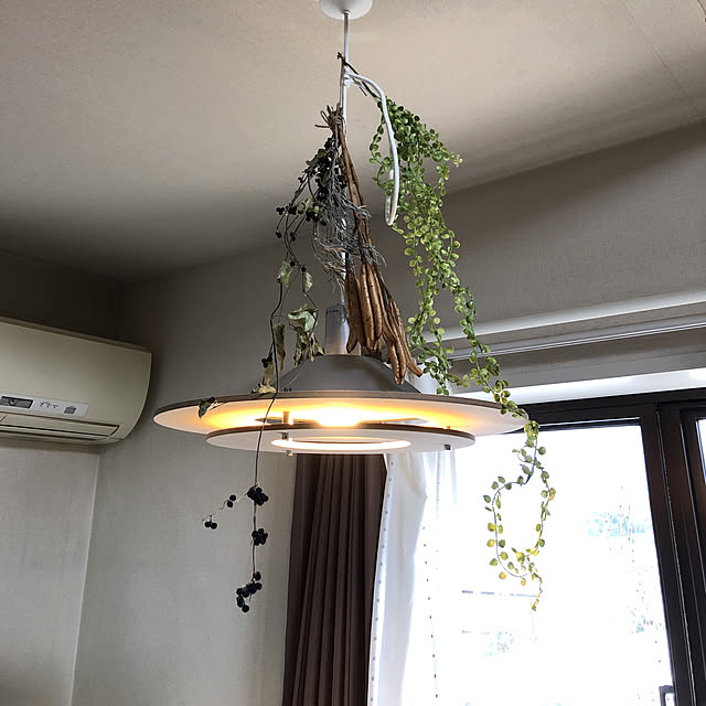 musasi1018maririnさんの実例写真