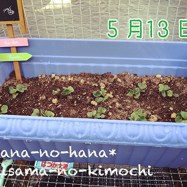 hanaさんの実例写真