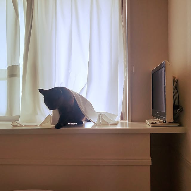 JIHYEさんの実例写真