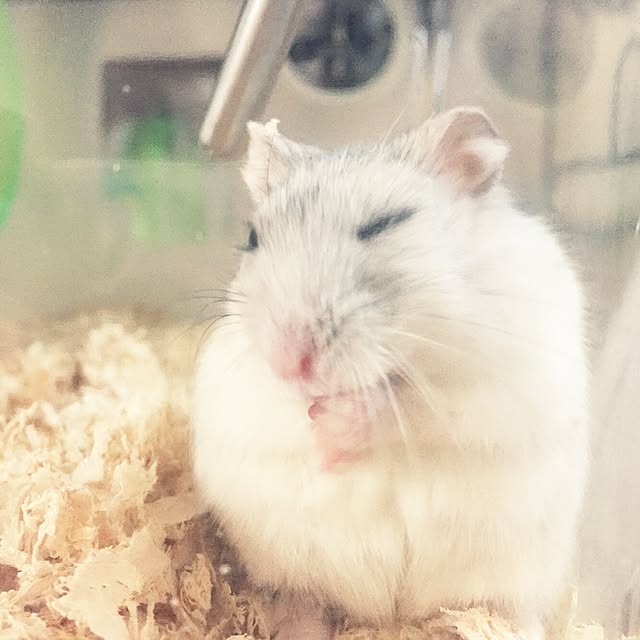 Minoriさんの実例写真