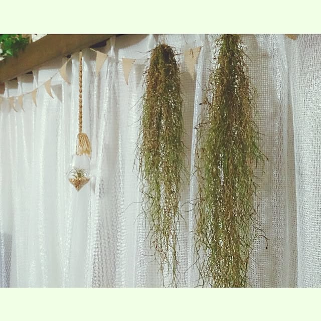 miporin0711さんの実例写真