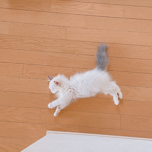 milkcocoaさんの部屋
