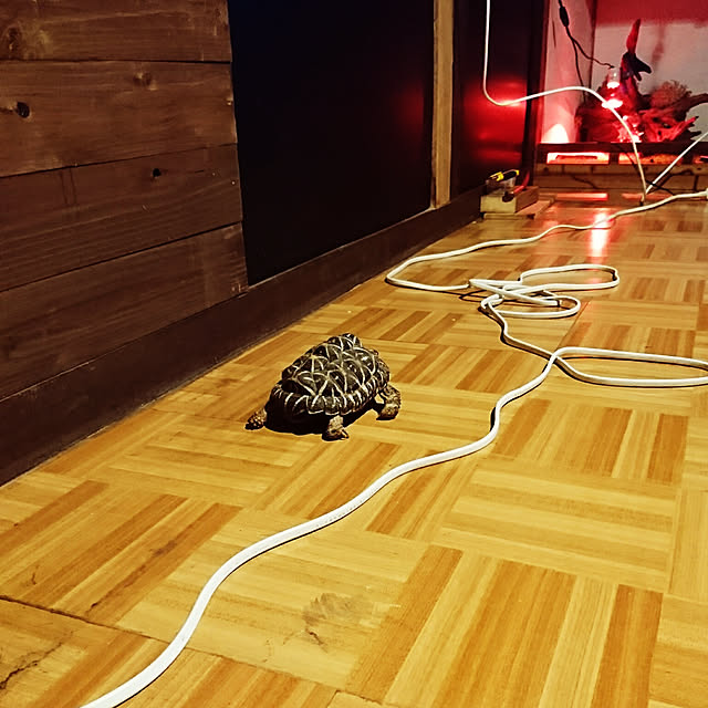 sashimiさんの実例写真
